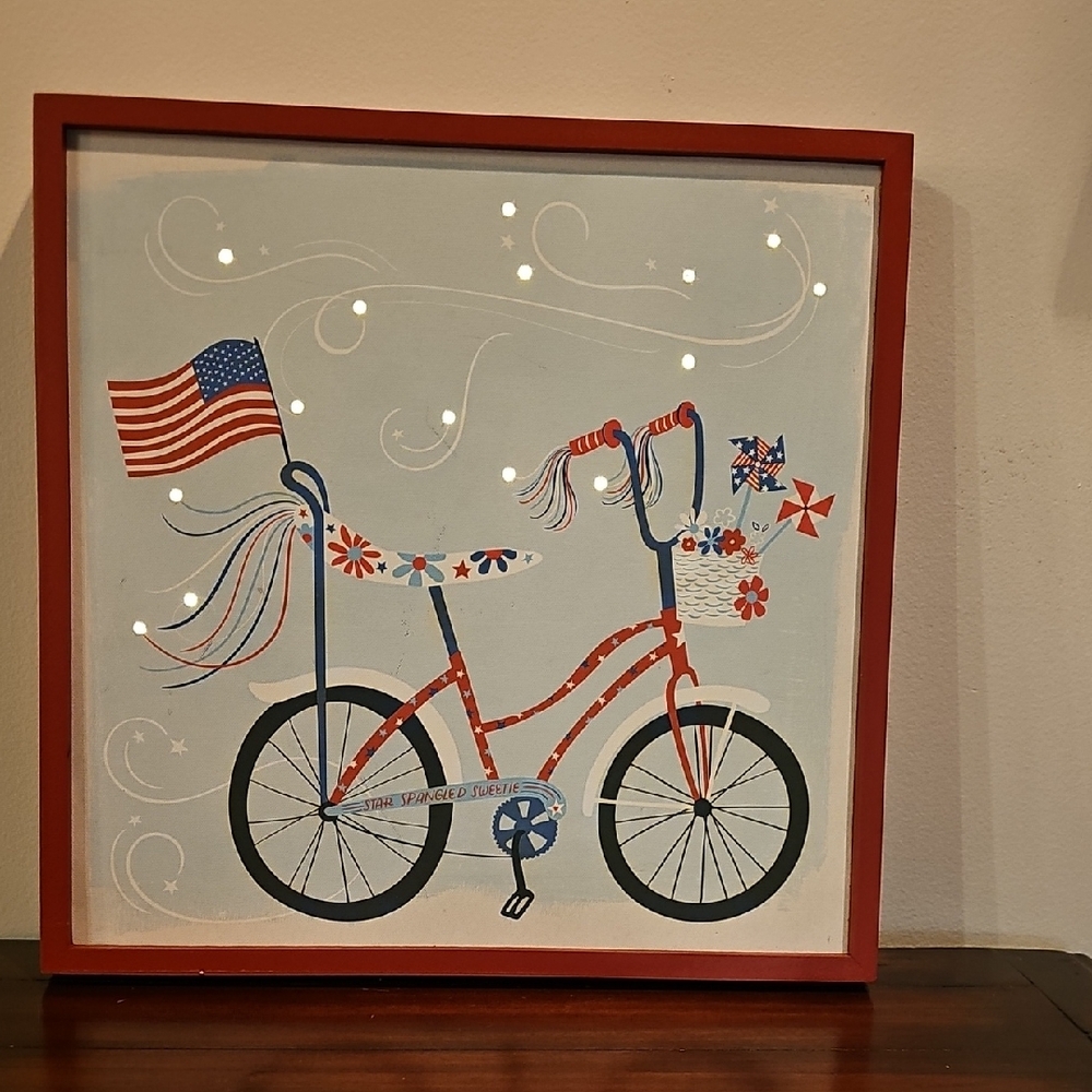 Patriotic LIGHTED wall hanging
